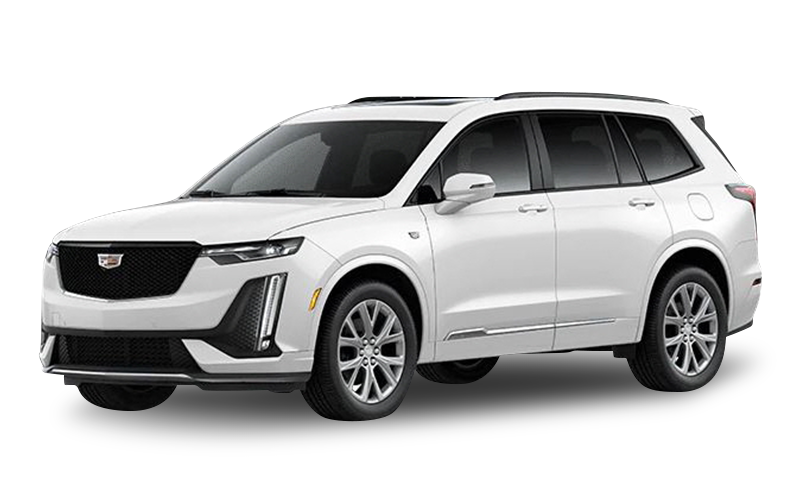 크리스탈 화이트 트리코트 익스테리어